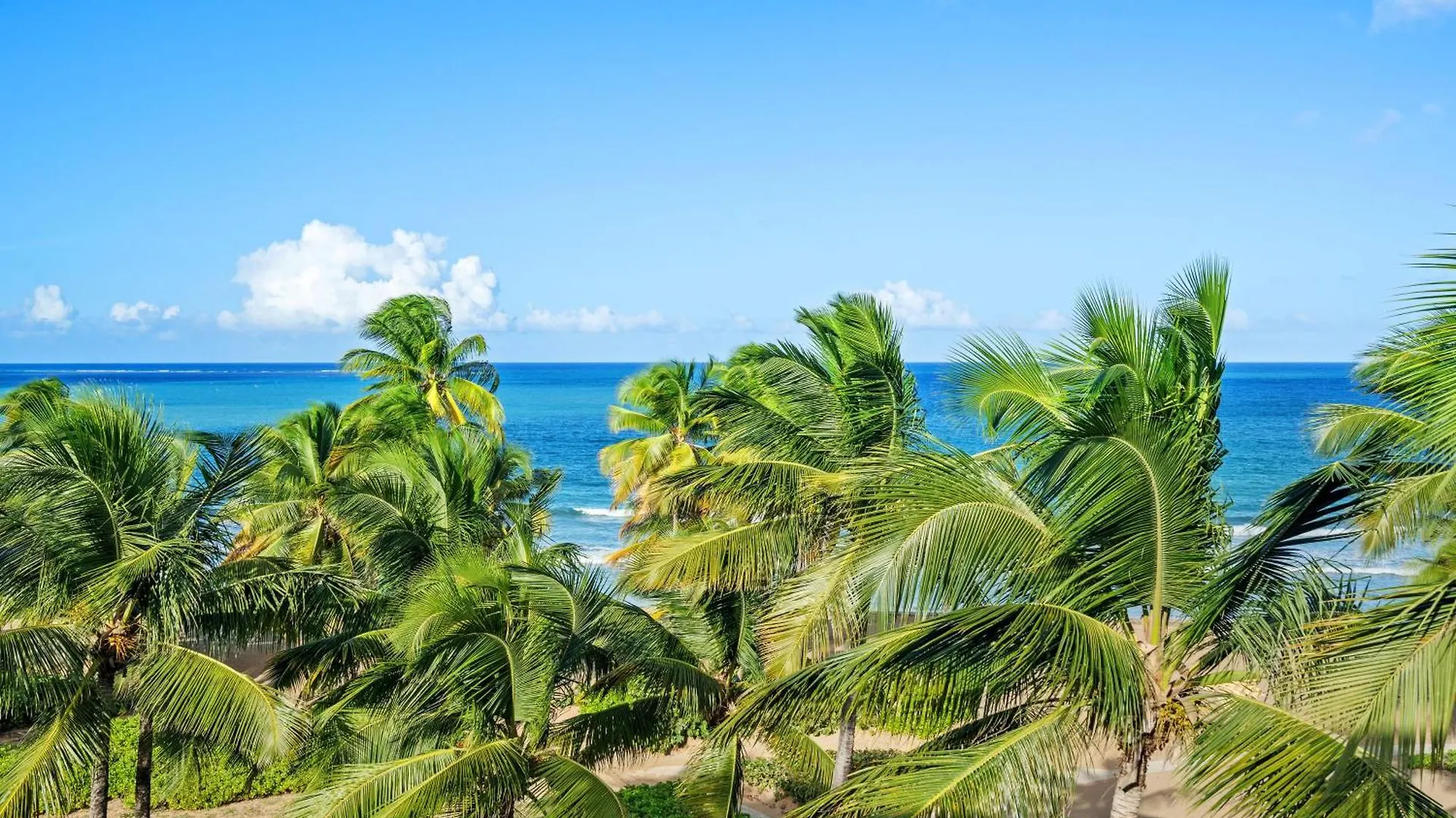 Ocean Front Luxury Property Near San Juan ريو غراندي