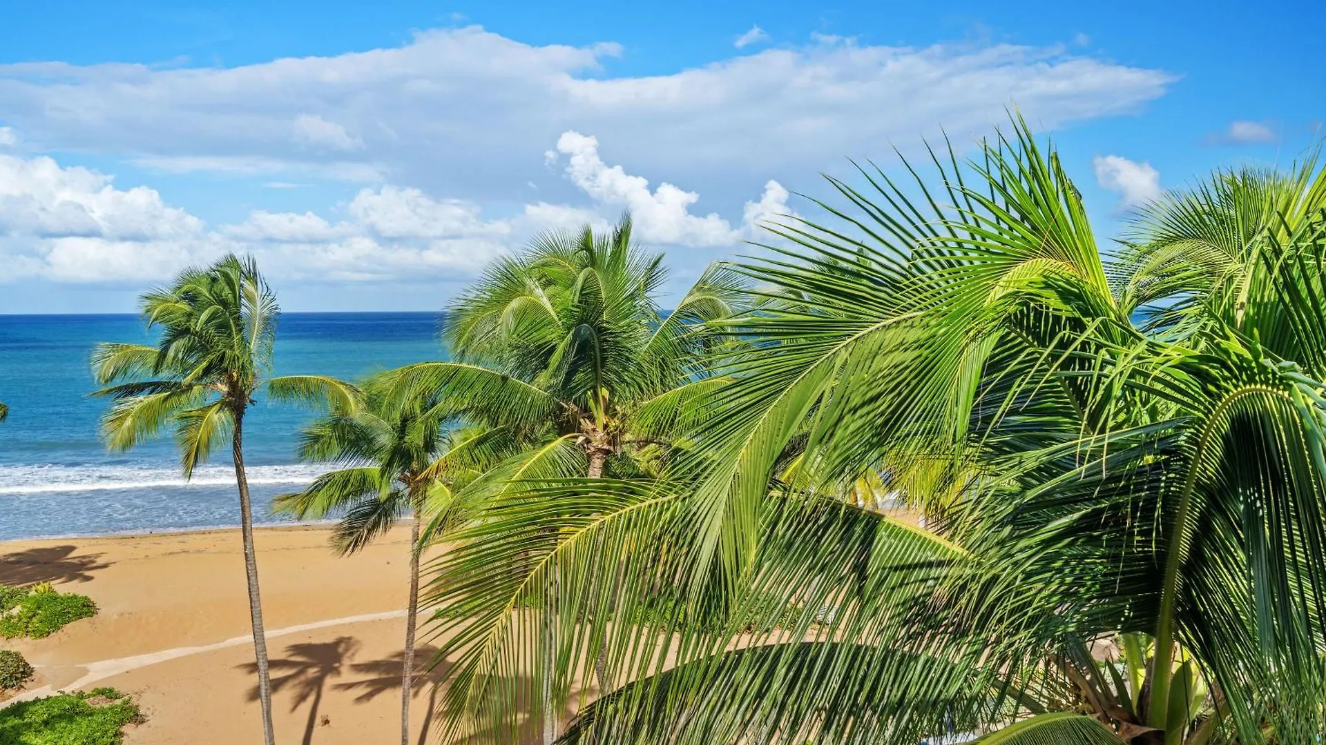 Ocean Front Luxury Property Near San Juan ريو غراندي